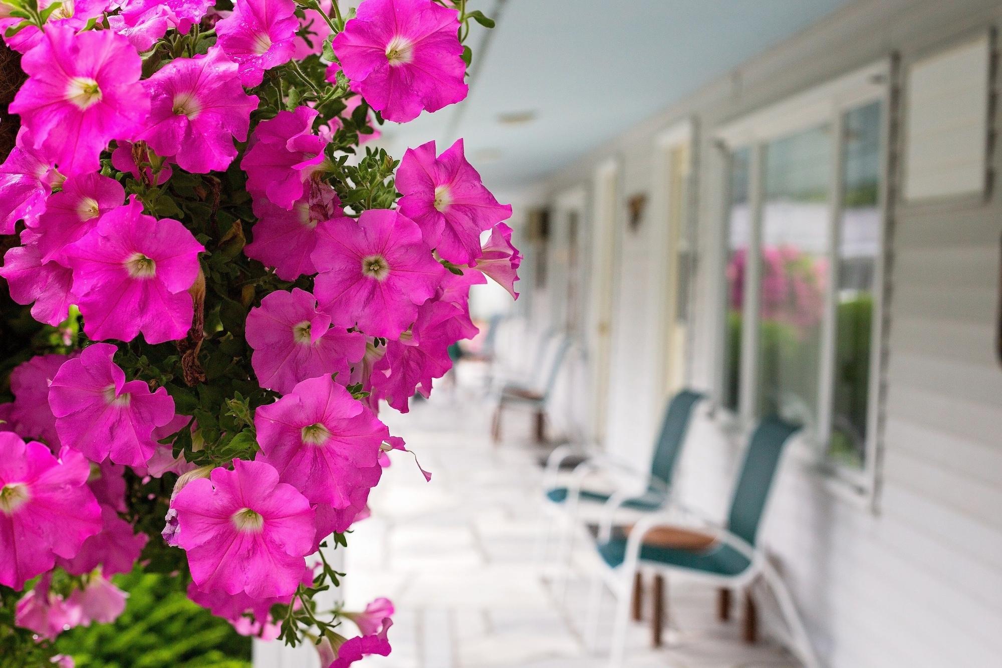 The Palmer House Resort, Ascend Hotel Collection Manchester Exterior foto